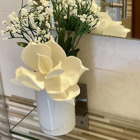 In Centro 33 Salernes